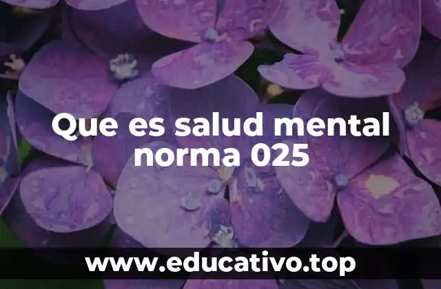 Que es salud mental norma 025