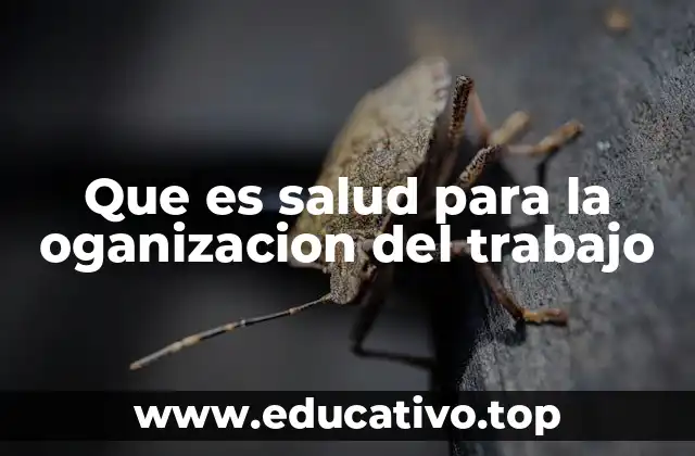 Que es salud para la oganizacion del trabajo