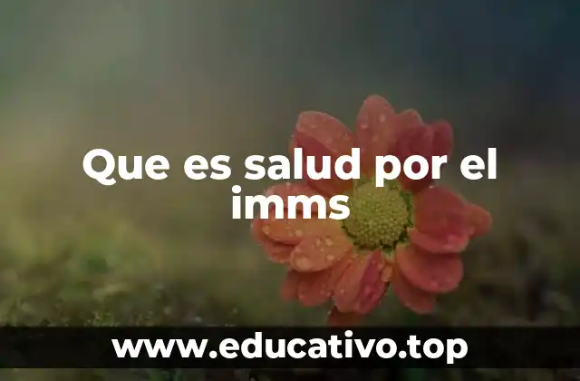 Que es salud por el imms