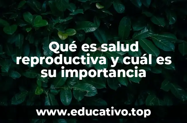 Qué es salud reproductiva y cuál es su importancia