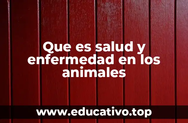 Que es salud y enfermedad en los animales