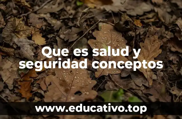 Que es salud y seguridad conceptos