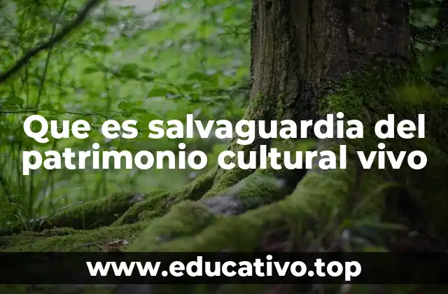 Que es salvaguardia del patrimonio cultural vivo