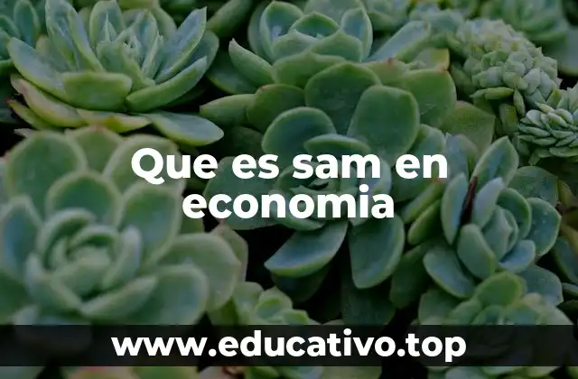 Que es sam en economia