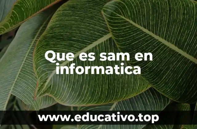 Que es sam en informatica