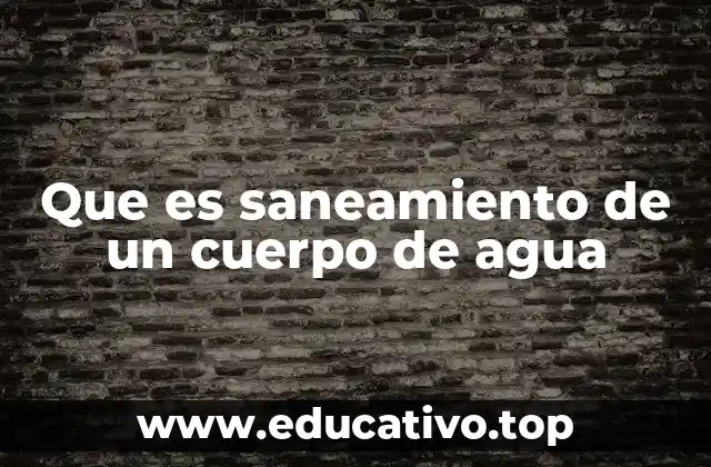 La importancia del mantenimiento ecológico de los cuerpos de agua
