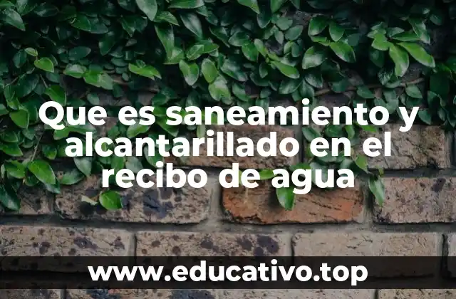 Que es saneamiento y alcantarillado en el recibo de agua
