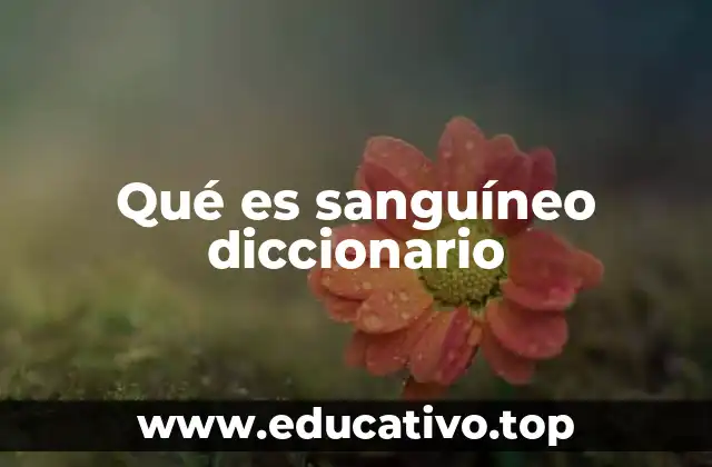 Qué es sanguíneo diccionario