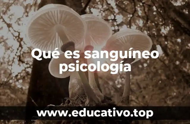 Qué es sanguíneo psicología