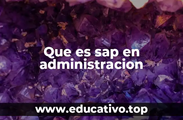 Que es sap en administracion