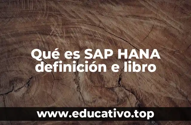 Qué es SAP HANA definición e libro