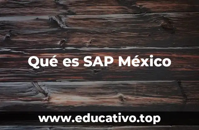 Qué es SAP México