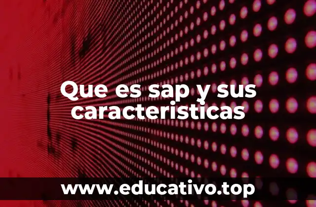 La importancia de SAP en la digitalización empresarial
