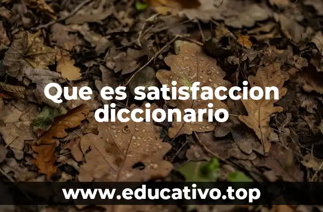 Que es satisfaccion diccionario