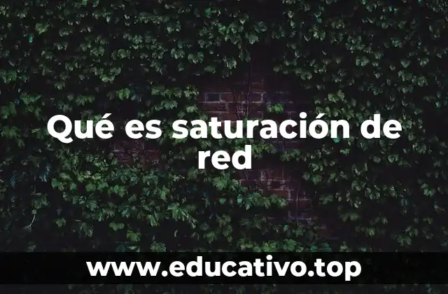 Qué es saturación de red
