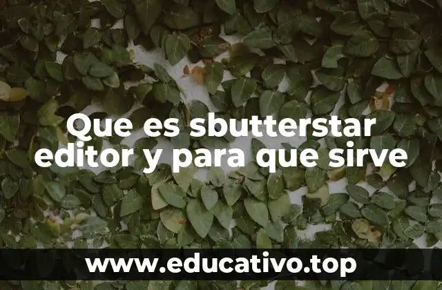 Que es sbutterstar editor y para que sirve