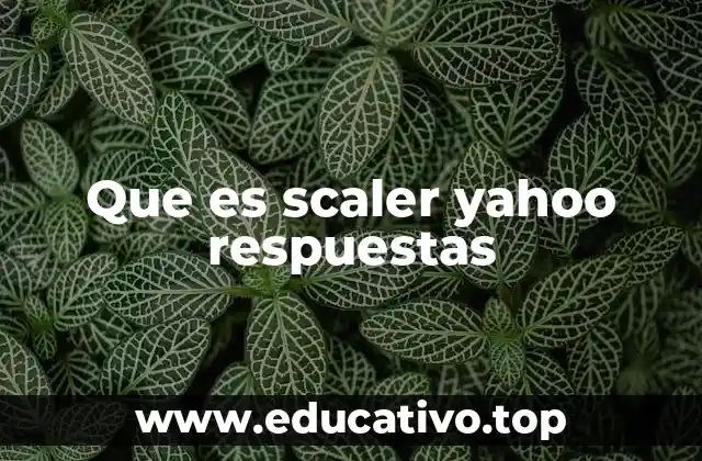 Que es scaler yahoo respuestas