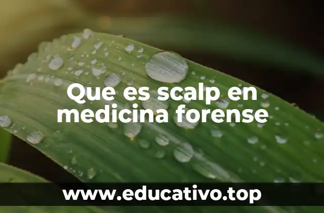 Que es scalp en medicina forense