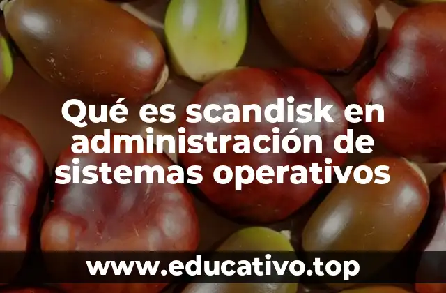 Qué es scandisk en administración de sistemas operativos