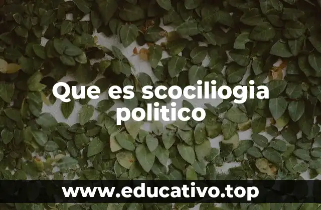 Que es scociliogia politico