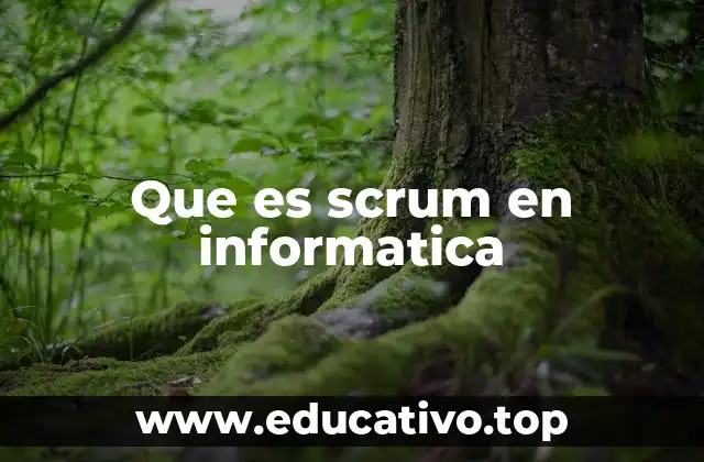 Que es scrum en informatica