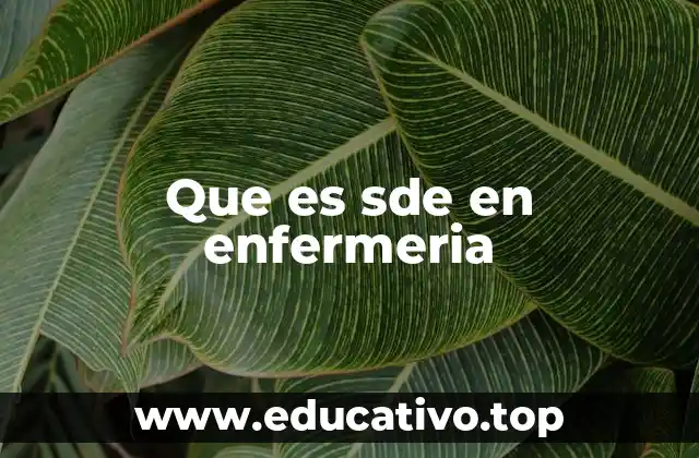 Que es sde en enfermeria