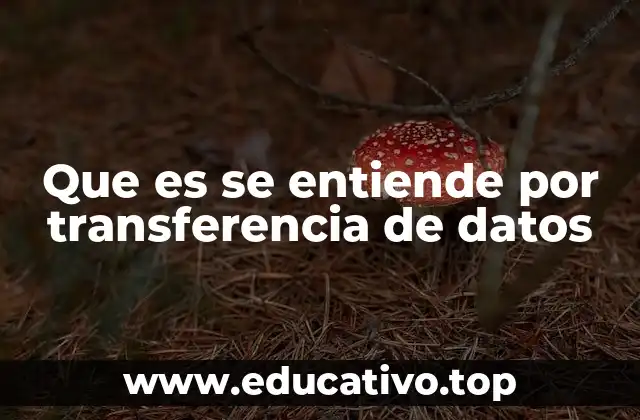 Que es se entiende por transferencia de datos