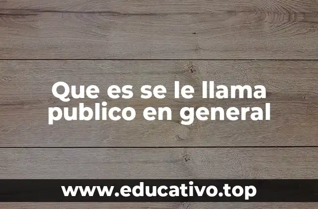 Que es se le llama publico en general