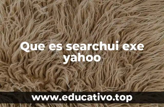 Que es searchui exe yahoo