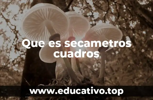 Que es secametros cuadros