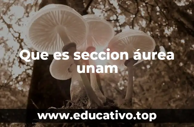 Que es seccion áurea unam
