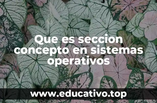Que es seccion concepto en sistemas operativos