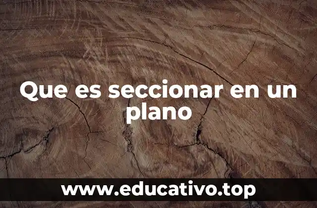 Que es seccionar en un plano