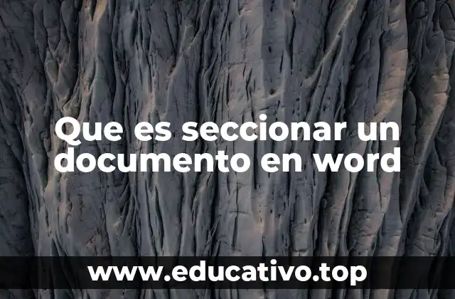Que es seccionar un documento en word