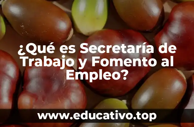 ¿Qué es Secretaría de Trabajo y Fomento al Empleo?