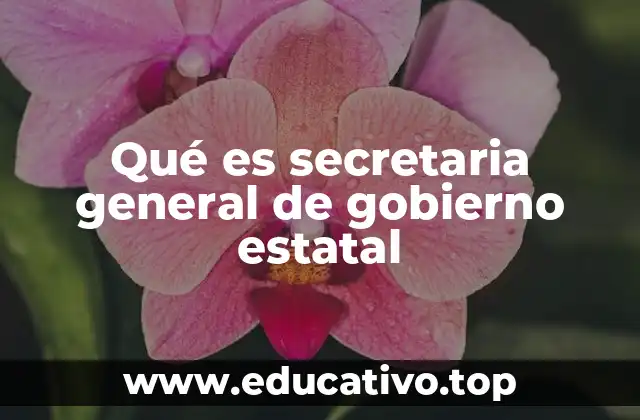 Qué es secretaria general de gobierno estatal