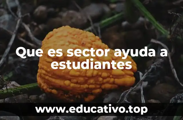 Que es sector ayuda a estudiantes