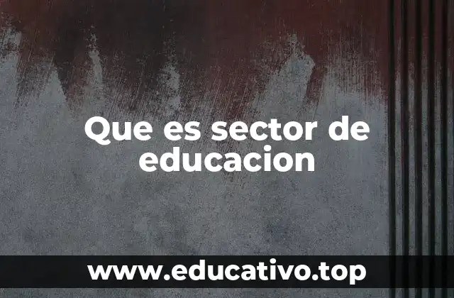 Que es sector de educacion