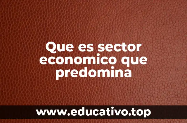 Que es sector economico que predomina