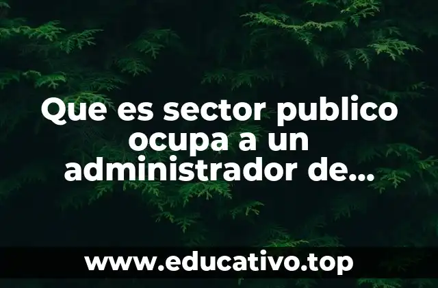 Que es sector publico ocupa a un administrador de empresas