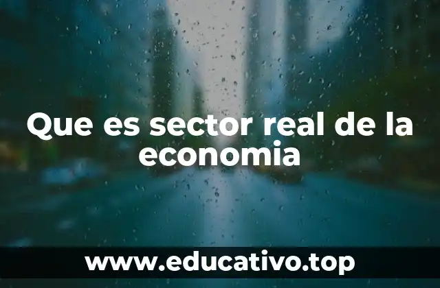 Que es sector real de la economia