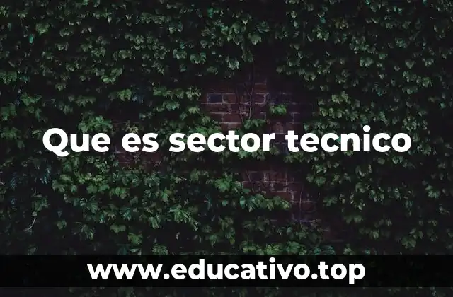 Que es sector tecnico