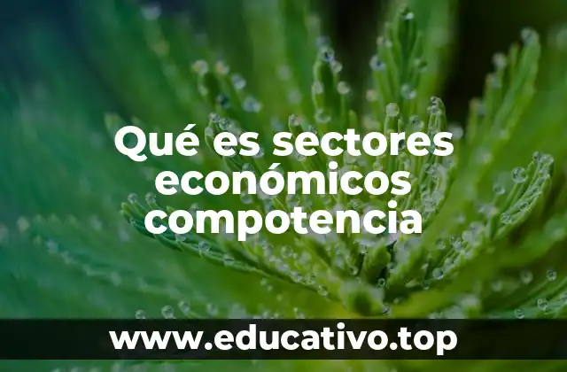 Qué es sectores económicos compotencia