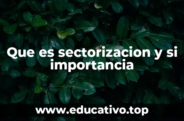 Que es sectorizacion y si importancia