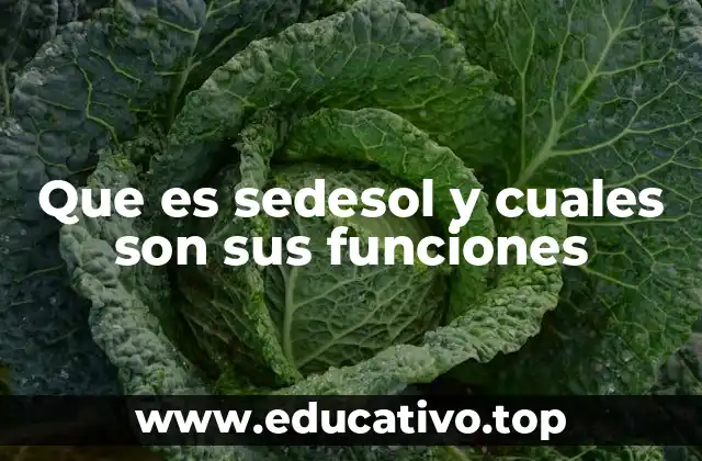 Que es sedesol y cuales son sus funciones