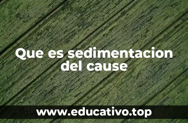 Que es sedimentacion del cause