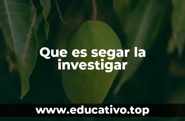 Interpretaciones posibles de la frase segar la investigar