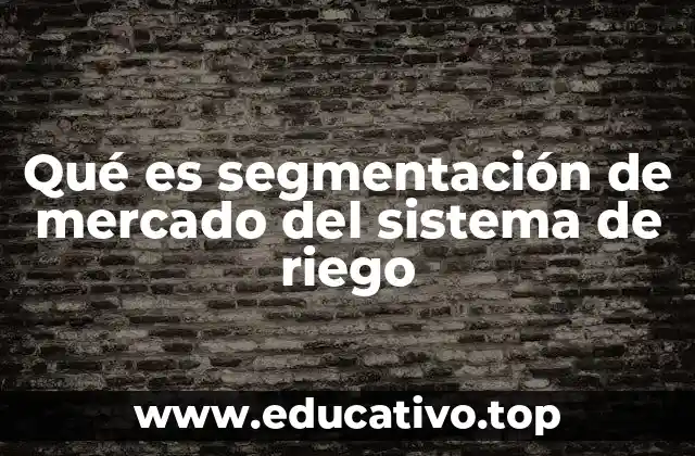 Qué es segmentación de mercado del sistema de riego