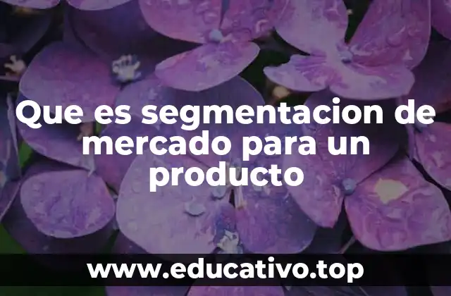 Que es segmentacion de mercado para un producto