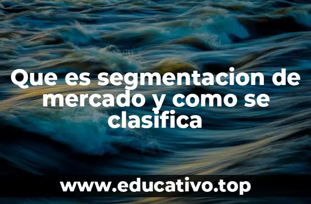 Que es segmentacion de mercado y como se clasifica